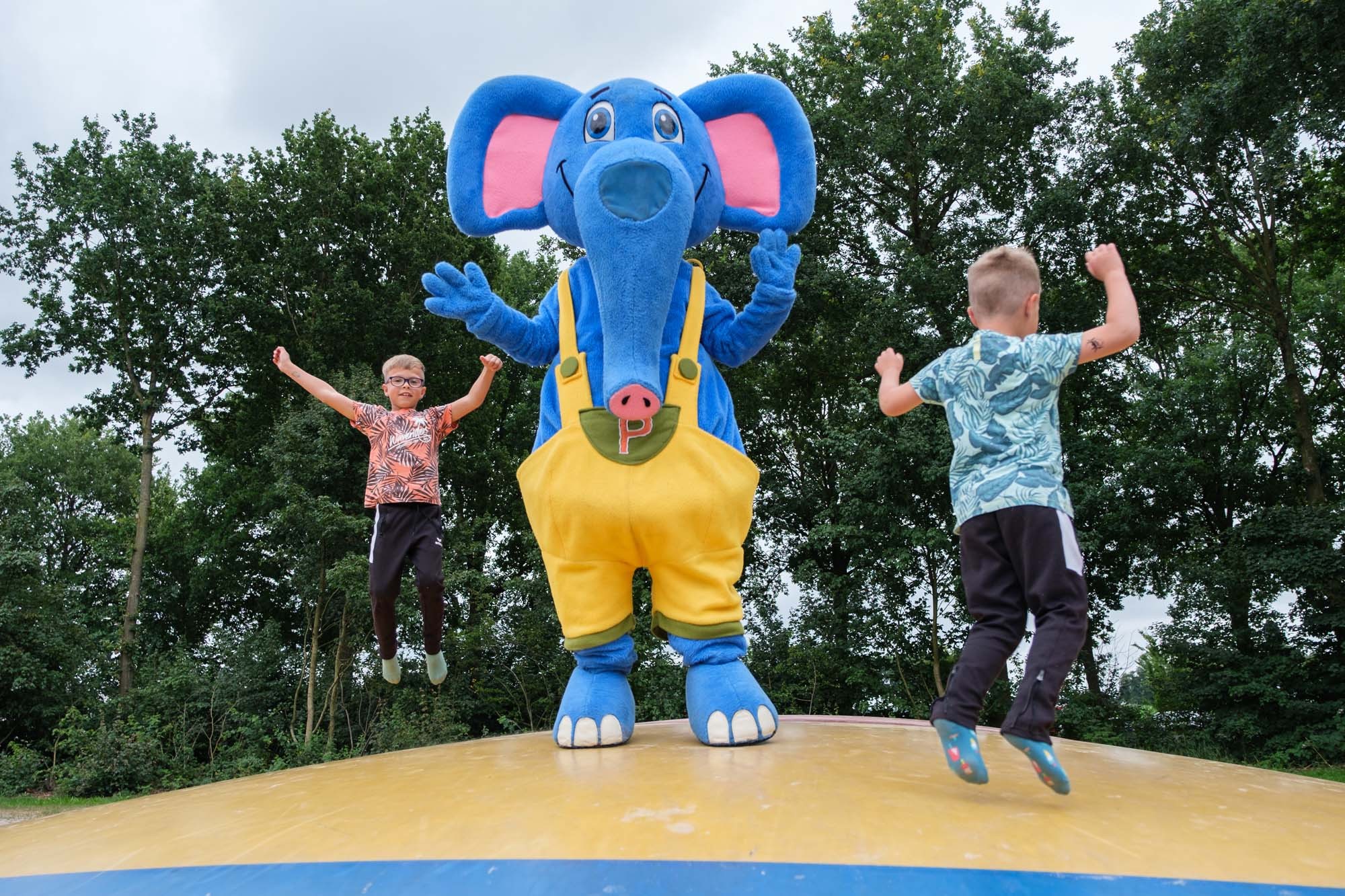 Camping de Pallegarste neemt 5 sterren in ontvangst!
