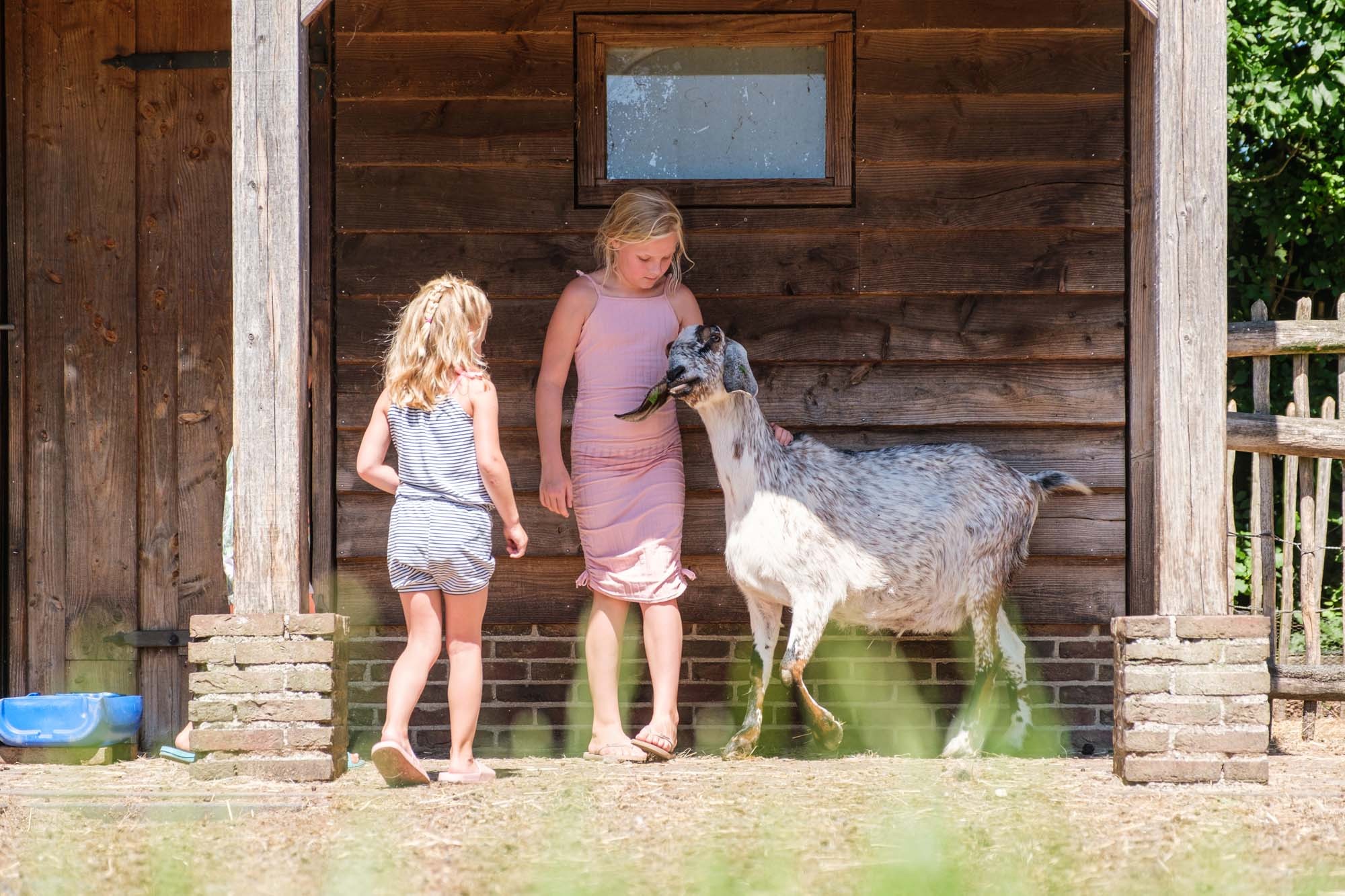 Kinderboerderij 6