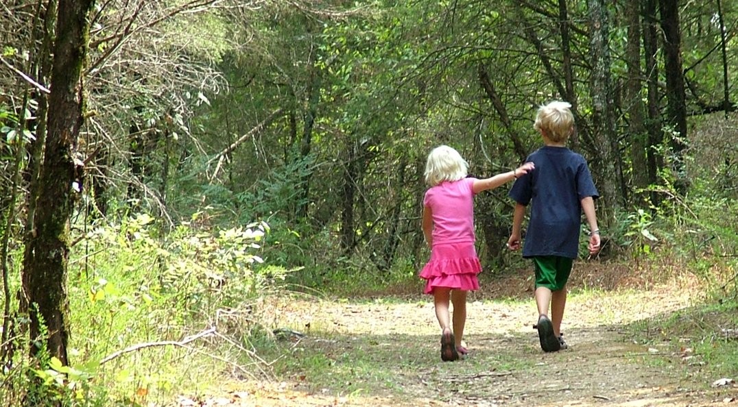 De natuur in
